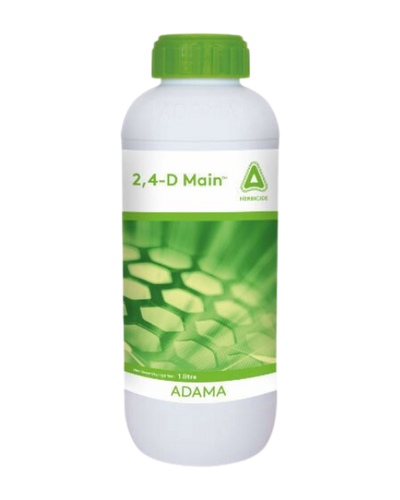 2,4 D MAIN HERBICIDE