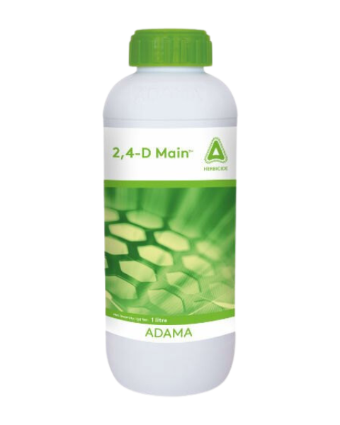 2,4 D MAIN HERBICIDE