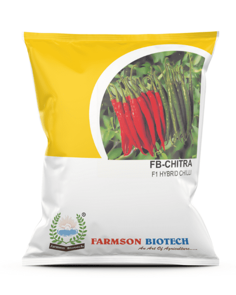 FARMSON CHILLI SEEDS FB-CHITRA