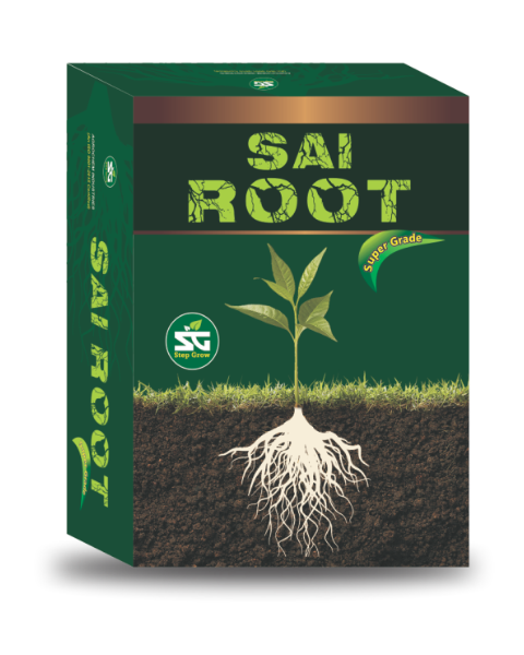 Step Organica Sai Root