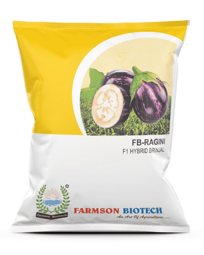 FARMSON RAGINI F1 HYBRID BRINJAL SEEDS