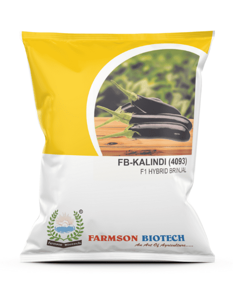 FARMSON FB-KALINDI F1 HYBRID BRINJAL SEEDS