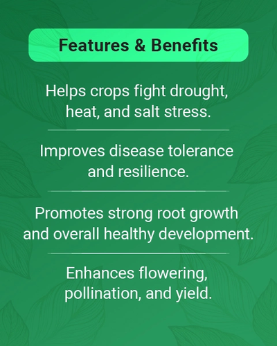 Tapas Vita Inject Plant Growth Regulator with Salicylic Acid For Crop Growth