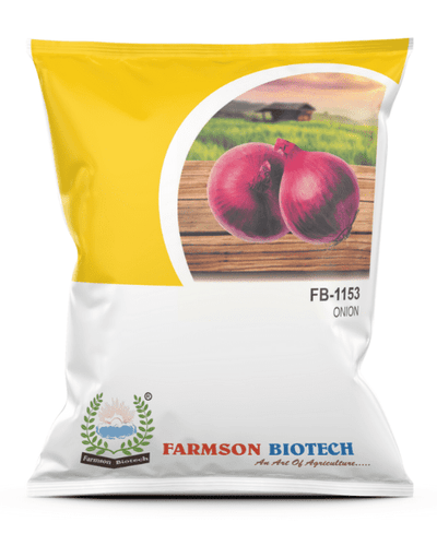 FB- 1153 DARK RED ONION SEEDS