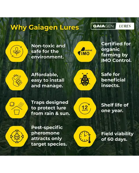 GAIAGEN PHEROMONE LURES FOR SUGARCANE TOP BORER