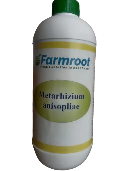 FARMROOT METARHIZIUM