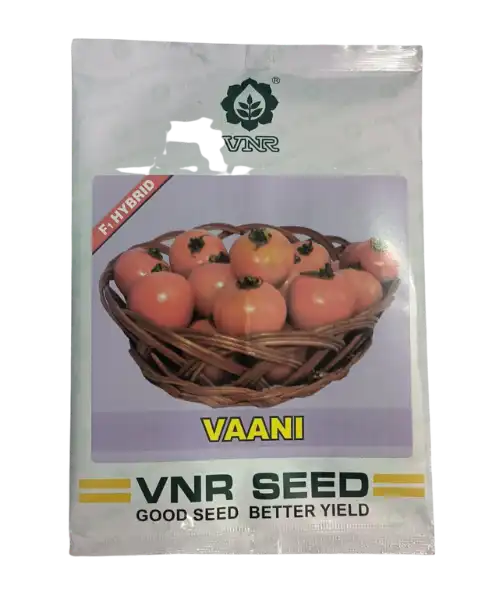 VAANI TOMATO SEEDS