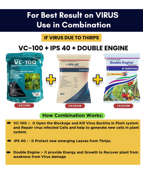 VC-100 IPS Combo for 200 liter spray, Includes VC-100(1 KG) + IPS-40 (100 gm) + Double Engine (250 gm) Best Control on Virus in Chilli, Tomato, Papaya, Brinjal, Bitter Gourd, Green Gram, Capsicum, Tobacco, Okra etc.