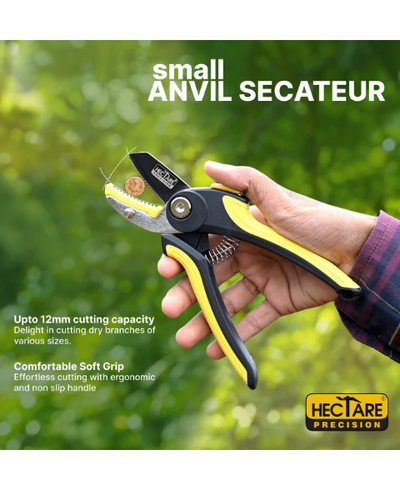 Hectare Precision Anvil Secateur - Small