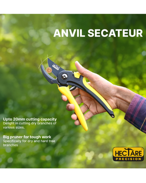 Hectare Precision Anvil Secateur - Large