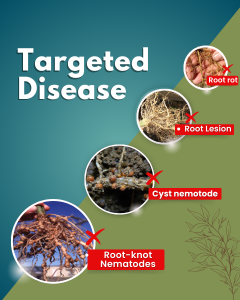 KATYAYANI NEMOTODE PLUS (BIO PESTICIDES)