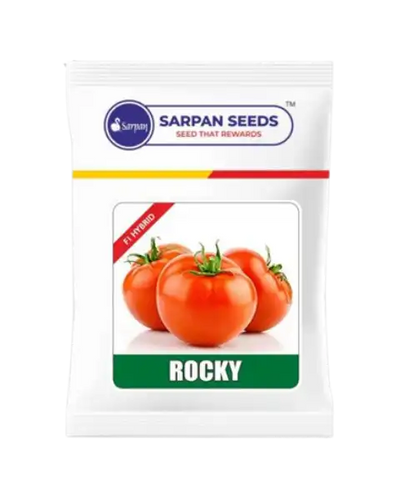 SARPAN ROCKY TOMATO