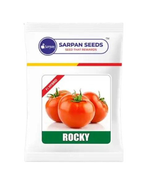 SARPAN ROCKY TOMATO