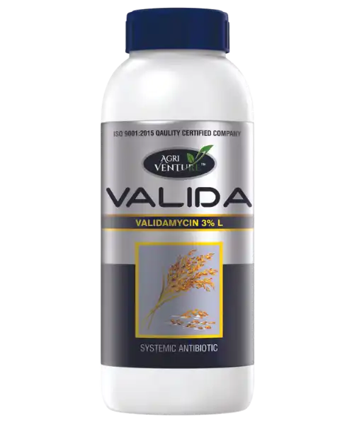 AGRIVENTURE VALIDA