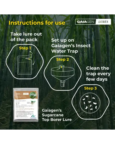 GAIAGEN PHEROMONE LURES FOR SUGARCANE TOP BORER