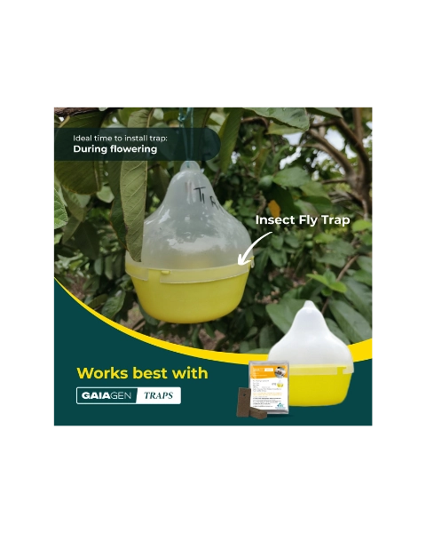 GAIAGEN FRUIT FLY LURE & INSECT FLY TRAP COMBO PACK