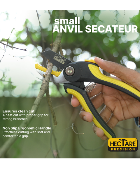 Hectare Precision Anvil Secateur - Small