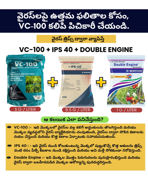 VC-100 IPS Combo for 200 liter spray, Includes VC-100(1 KG) + IPS-40 (100 gm) + Double Engine (250 gm) Best Control on Virus in Chilli, Tomato, Papaya, Brinjal, Bitter Gourd, Green Gram, Capsicum, Tobacco, Okra etc.