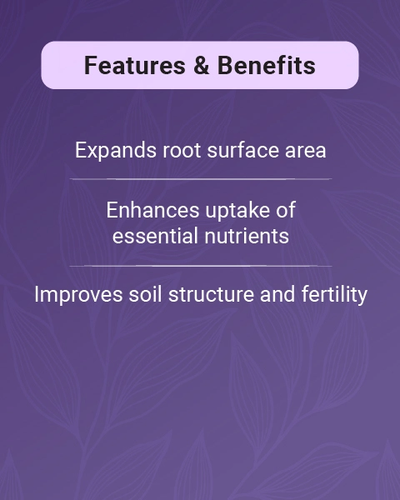 VAM SP Bio Fertilizer with Mycorrhizal Fungi for Enhanced Soil Health & Plant Growth