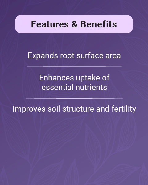 VAM SP Bio Fertilizer with Mycorrhizal Fungi for Enhanced Soil Health & Plant Growth