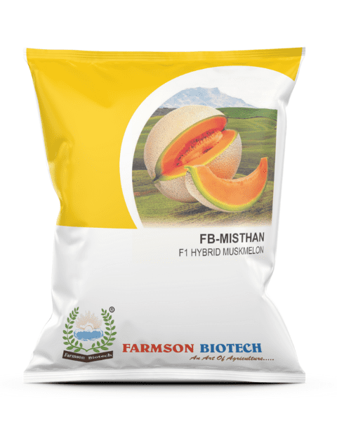 FB MISTHAN F1 HYBRID MUSKMELON SEEDS, GOOD TOLERANCE AGAINST DISEASES & VIRUS