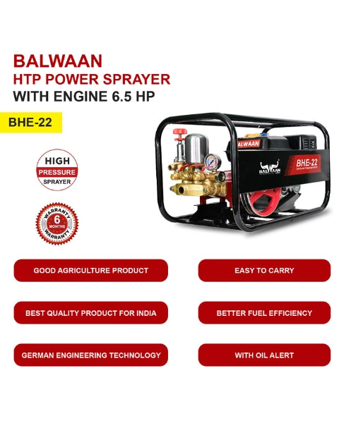 BALWAAN BHE-22 HTP WITH ENGINE 6.5HP SPRAYER PUMP