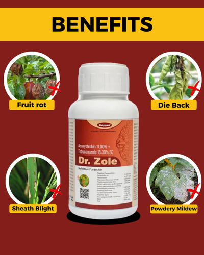 KATYAYANI DR ZOLE FUNGICIDE