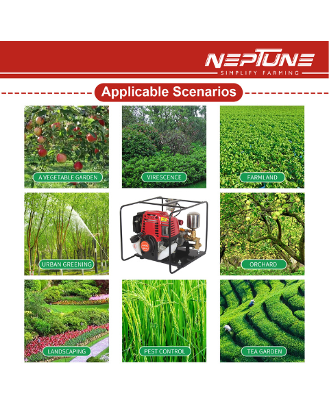 Neptune NPW-50 Portable Power Pressure Sprayer | 35 CC Petrol Engine with 4 Stroke Advanced Technology