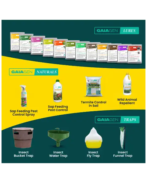 GAIAGEN PHEROMONE LURE & INSECT FUNNEL TRAP FOR SUGARCANE TOP BORER COMBO PACK