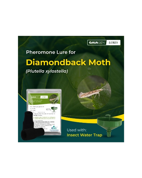 GAIAGEN DIAMONDBACK MOTH LURE & INSECT WATER TRAP 1.6 L COMBO PACK