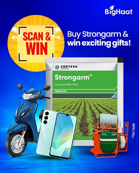 Strongarm Herbicide