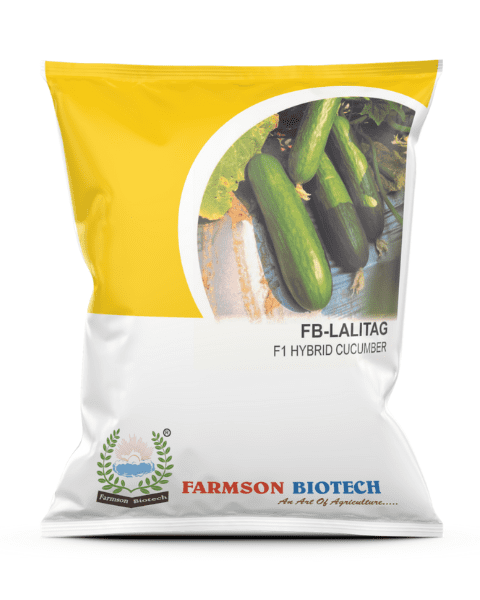 FARMSON CUCUMBER F1 FB LALITAG SEEDS