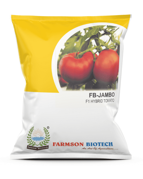 FARMSON JAMBO F1 HYBRID TOMATO SEEDS