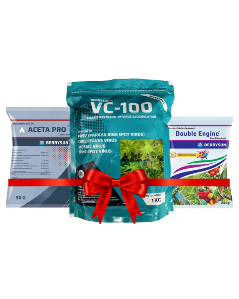 VC-100 Aceta Combo Pack for 200 liter spray, Includes VC-100(1 KG) + Aceta Pro (200 gm) + Double Engine (250 gm) Best Control on Virus in Chilli, Tomato, Papaya, Brinjal, Bitter Gourd, Green Gram, Capsicum, Okra,Tobacco etc