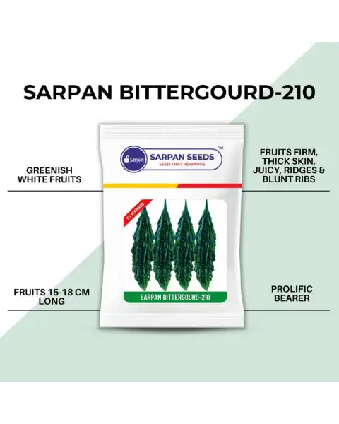 SARPAN HYBRID BITTER GOURD-210