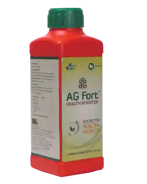 SEA6 ENERGY AG FORT - HEALTH BOOSTER