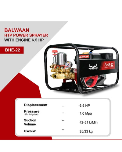 BALWAAN BHE-22 HTP WITH ENGINE 6.5HP SPRAYER PUMP