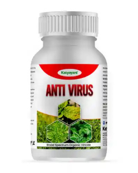 KATYAYANI ANTI VIRUS