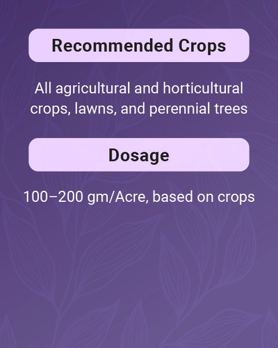 VAM SP Bio Fertilizer with Mycorrhizal Fungi for Enhanced Soil Health & Plant Growth