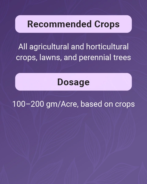 VAM SP Bio Fertilizer with Mycorrhizal Fungi for Enhanced Soil Health & Plant Growth