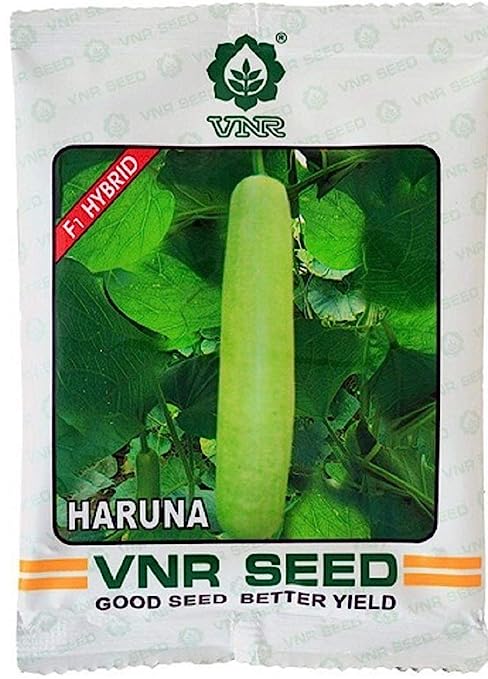 HARUNA BOTTLE GOURD