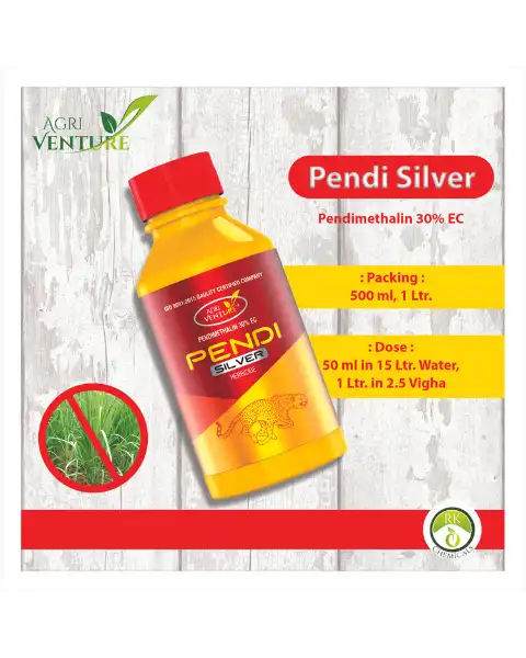 AGRIVENTURE PENDI SILVER