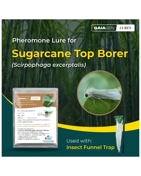 GAIAGEN PHEROMONE LURE & INSECT FUNNEL TRAP FOR SUGARCANE TOP BORER COMBO PACK