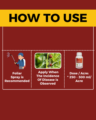 KATYAYANI DR ZOLE FUNGICIDE