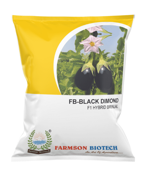 FB- BLACK DIMOND F1 HYBRID BRINJAL SEEDS