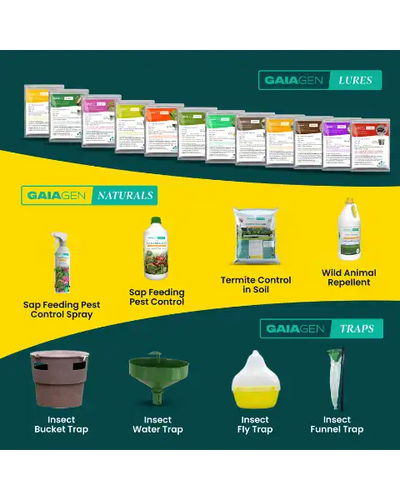 GAIAGEN PHEROMONE LURES FOR SUGARCANE TOP BORER