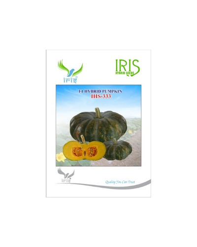 IRIS HYBRID F1 HIS-333 PUMPKIN