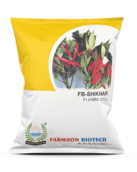 FARMSON SHIKHAR F1 HYBRID CHILI SEEDS