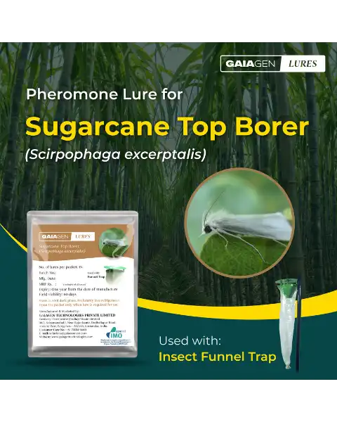 GAIAGEN PHEROMONE LURES FOR SUGARCANE TOP BORER