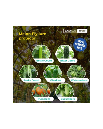 GAIAGEN MELON FLY LURE & INSECT FLY TRAP COMBO PACK